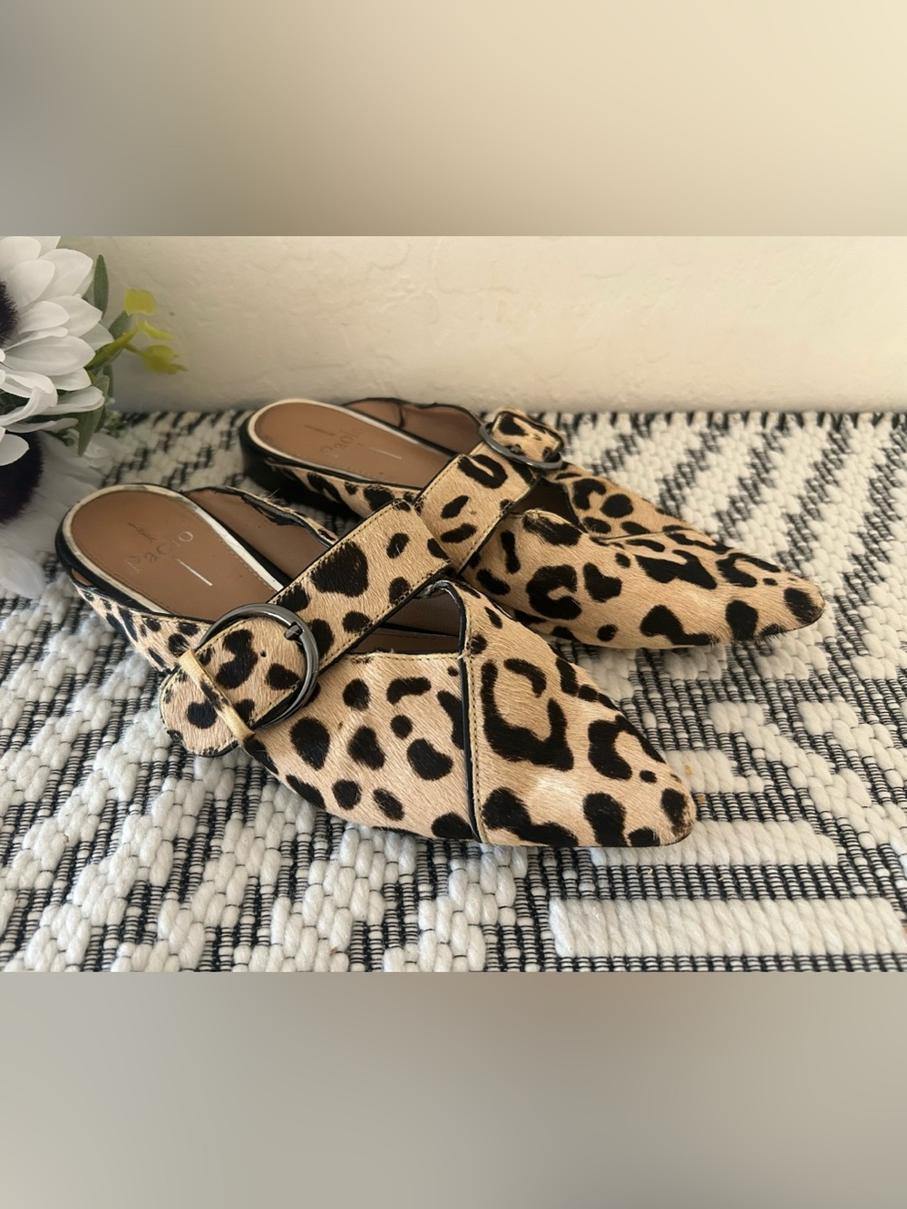 Lines Paolo dean pointy toe flat size 7